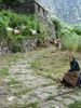 The woman who takes care of the goats!